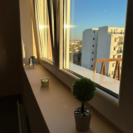 Vojvoda Daire Belgrad